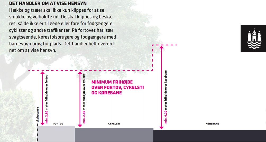 Informationsgrafik om beskæring af hække og træer langs fortov, cykelsti og kørebaner. Viser minimum frihøjder: 2,80 meter over fortov og cykelsti samt 4,20 meter over vejbanen.